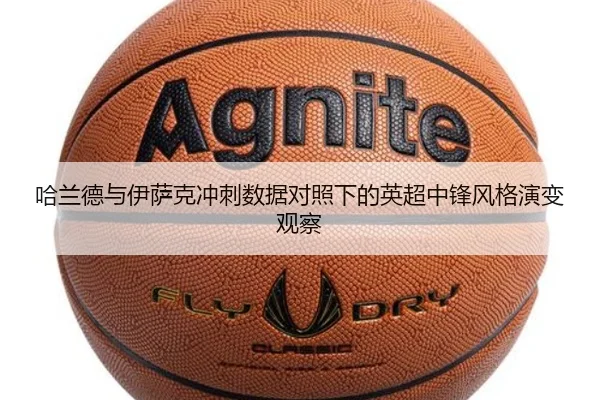 img_1783779145601_849_1_989.jpg