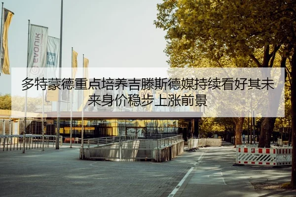 多特蒙德重点培养吉滕斯德媒持续看好其未来身价稳步上涨前景